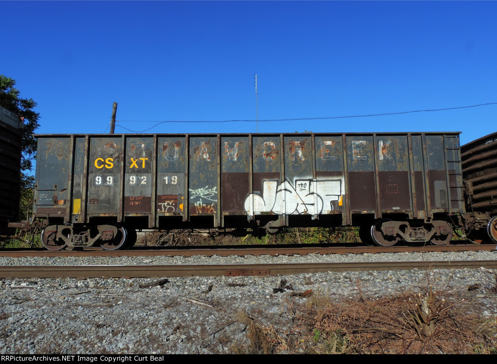 CSXT 999219